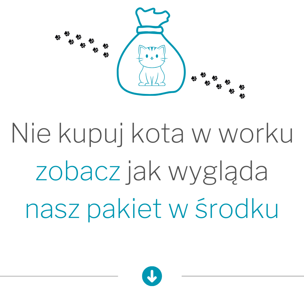 Włącz film na YouTube i zobacz jak wygląda nasz panel w środku