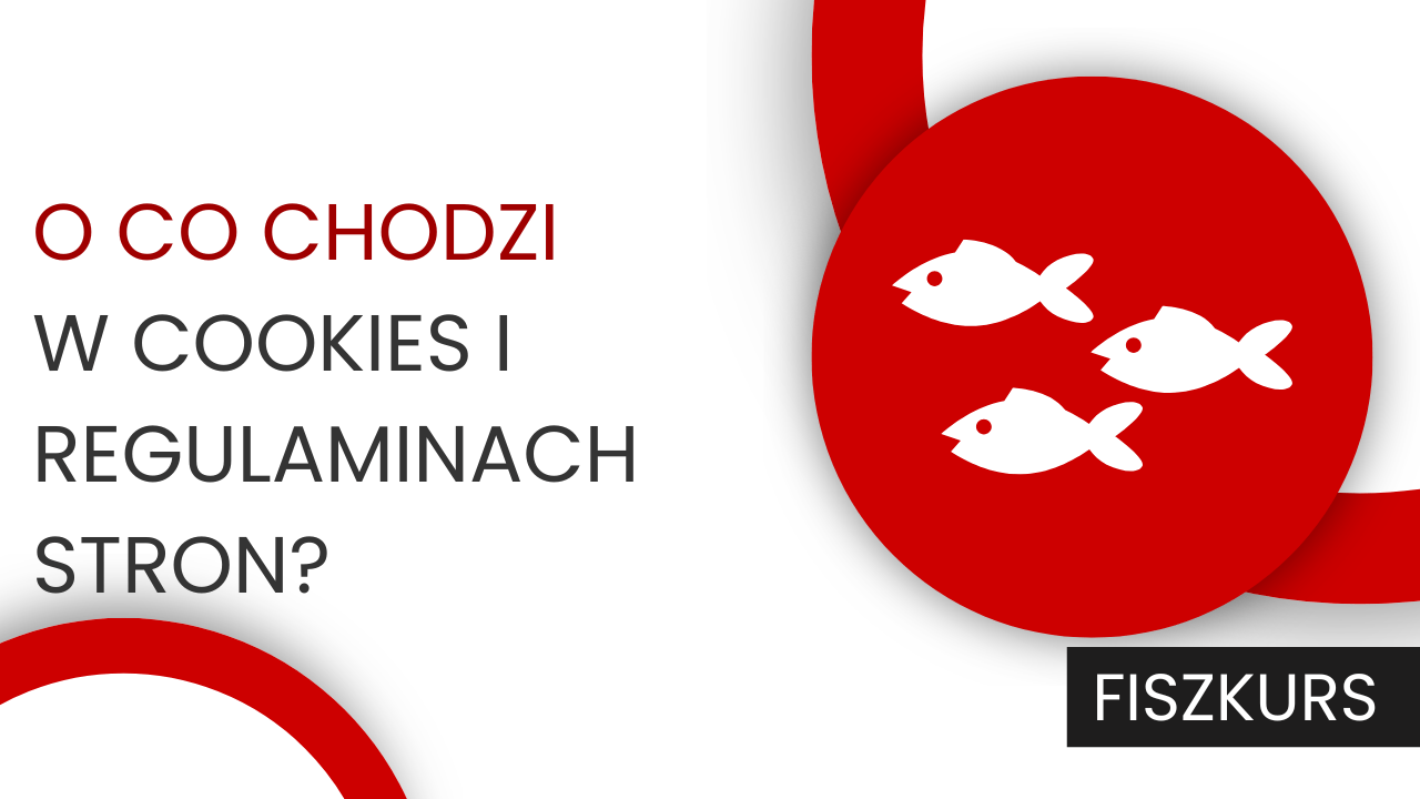 O co chodzi w tych regulaminach stron i politykach cookies? Zapisz się na bezpłatny Fiszkurs!